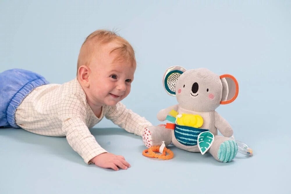 Riputatav pehme mänguasi-kõristi Taf Toys Kimmy Koala price and information | Beebide mänguasjad | hansapost.ee