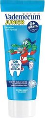 Hambapasta lastele Vademecum Junior 6+ Spearmint, 75ml hind ja info | Hambaharjad, hampapastad ja suuloputusvedelikud | hansapost.ee