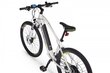 Elektriline jalgratas Ecobike SX3 14,5 Ah Greenway, valge цена и информация | Elektrijalgrattad | hansapost.ee