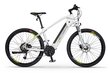 Elektriline jalgratas Ecobike SX3 14,5 Ah Greenway, valge hind ja info | Elektrijalgrattad | hansapost.ee