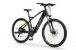 Elektrijalgratas Ecobike SX5 14,5 Ah Greenway, must цена и информация | Elektrijalgrattad | hansapost.ee