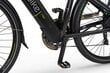 Elektrijalgratas Ecobike X-Cross M 14,5 Ah Greenway, must цена и информация | Elektrijalgrattad | hansapost.ee