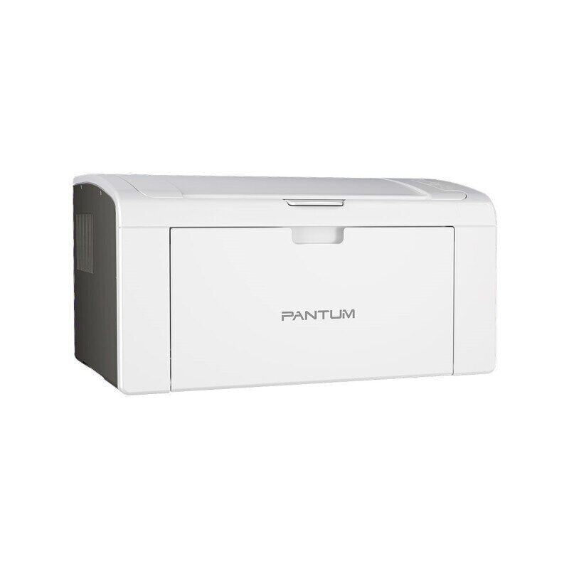 Panttum P2509W цена и информация | Printerid | hansapost.ee