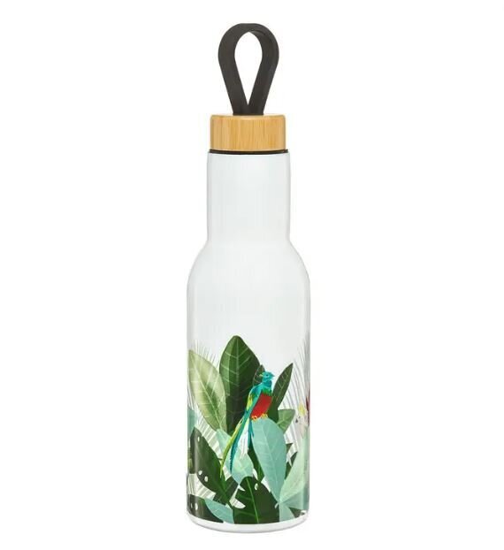 Ambition termospudel Paradise, 400 ml hind ja info | Termosed ja termokruusid | hansapost.ee