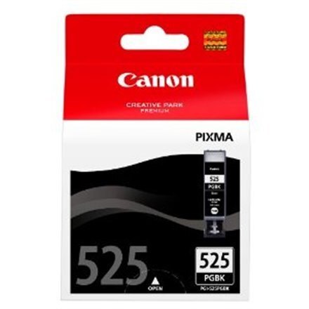 Canon ink cartridge PGI-525, black цена и информация | Tindiprinteri kassetid | hansapost.ee