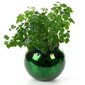 Lillevaas Eurofirany Verre3, 20x16 cm hind ja info | Lillepotid | hansapost.ee