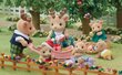 Sylvanian Families mängukomplekt Reindeer Family цена и информация | Mänguasjad tüdrukutele | hansapost.ee