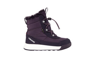 Детские зимние ботинки Viking AERY WARM GTX SL, темно-серо-фиолетовый цвет цена и информация | Viking Одежда, обувь и аксессуары | hansapost.ee