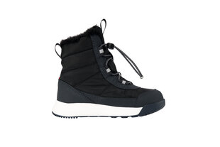 Детские зимние сапоги Viking AERY WARM GTX SL, чёрно-тёмно-серый цвет цена и информация |  Детская зимняя обувь | hansapost.ee
