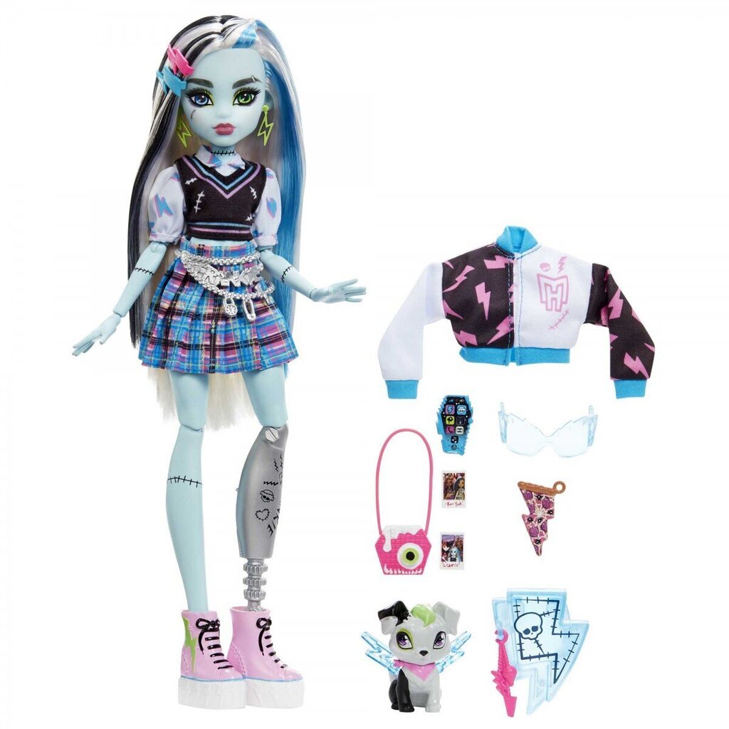 Nukk koos aksessuaaridega Monster High Core Frankie hind ja info | Mänguasjad tüdrukutele | hansapost.ee