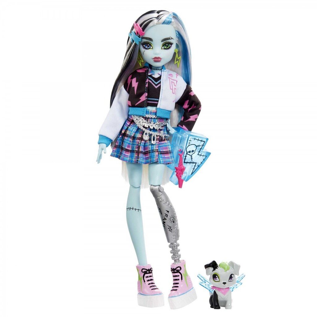 Nukk koos aksessuaaridega Monster High Core Frankie hind ja info | Mänguasjad tüdrukutele | hansapost.ee