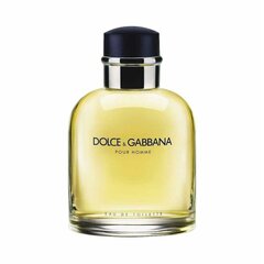 Мужская парфюмерия Dolce & Gabbana EDT Pour Homme 200 ml цена и информация | Мужские духи | hansapost.ee