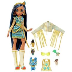 Nukk koos aksessuaaridega Monster High Core Cleo De Nile hind ja info | Mänguasjad tüdrukutele | hansapost.ee