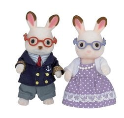 Figuuride komplekt vanaisa ja vanaema Sylvanian Families hind ja info | Mänguasjad poistele | hansapost.ee