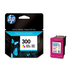Чернильный картридж HP CC643EE 300, синий/красный/желтый цена и информация | Картриджи для струйных принтеров | hansapost.ee