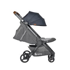 Ergobaby sportlik jalutuskäru Metro+ Deluxe, London Grey hind ja info | ERGObaby Beebikaubad | hansapost.ee