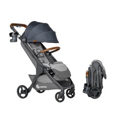 Ergobaby sportlik jalutuskäru Metro+ Deluxe, London Grey hind ja info | ERGObaby Beebikaubad | hansapost.ee