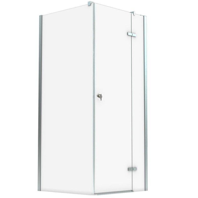 Dušikabiin Aqualux Hinged 98, 90x80x200 cm hind ja info | Dušikabiinid | hansapost.ee