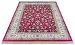 Eva vaip Djamila Red 195x300 cm hind ja info | Vaibad | hansapost.ee