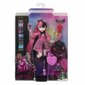 Nukk koos tarvikute komplektiga Monster High Core Draculaura цена и информация | Mänguasjad tüdrukutele | hansapost.ee