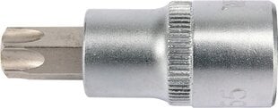 Torx padrun T55 1/2" 04317 H hind ja info | Käsitööriistad | hansapost.ee