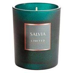 Ароматическая свеча Eurofirany Salvia 200 г цена и информация | Подсвечники, свечи | hansapost.ee