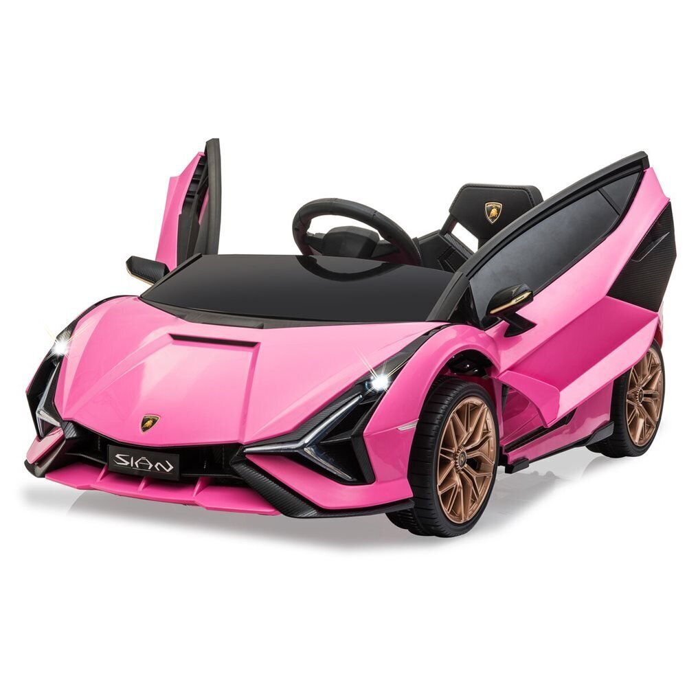 Ühekohaline laste elektriauto Lamborghini Sian 12V, roosa цена и информация | Laste elektriautod | hansapost.ee