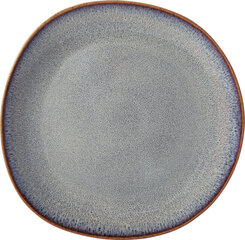 Тарелка Villeroy & Boch, 28 см цена и информация | Посуда, тарелки, обеденные сервизы | hansapost.ee