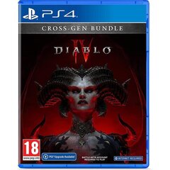 PlayStation 4 mäng Diablo IV цена и информация | Компьютерные игры | hansapost.ee