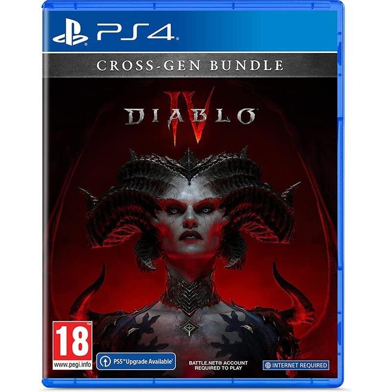 PlayStation 4 mäng Diablo IV hind ja info | Konsooli- ja arvutimängud | hansapost.ee