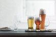 Spiegelau Craft Beer Classics Tasting Kit õllepokaalide komplekt цена и информация | Klaasid, kruusid ja kannud | hansapost.ee