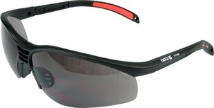 Защитные очки, темные цена и информация | Защита для лица и головы | hansapost.ee