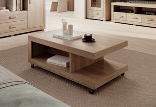 Журнальный столик ADRK Furniture Bahar, коричневый цена и информация | Журнальные столики | hansapost.ee