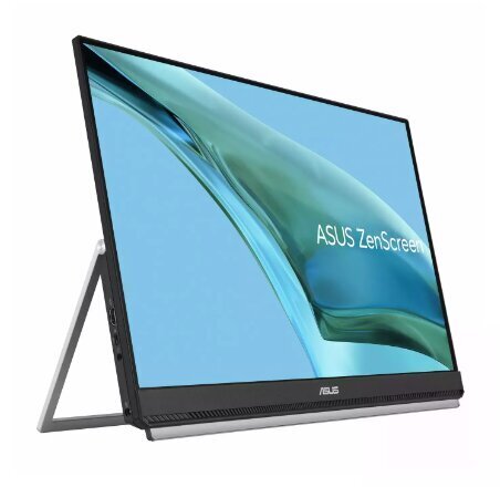 ASUS ZenScreen MB249C цена и информация | Monitorid | hansapost.ee