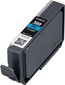 CANON PFI-300 PC EUR/OCN photo cyan цена и информация | Tindiprinteri kassetid | hansapost.ee