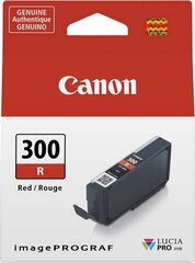 Canon 4199C001, punane hind ja info | Tindiprinteri kassetid | hansapost.ee