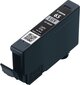 CANON CLI-65 LGY EUR/OCN Ink Cartridge цена и информация | Tindiprinteri kassetid | hansapost.ee