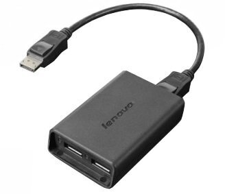 ADAPTR DISPLAYPORT TO DUAL DISPLAYPORT цена и информация | Sülearvuti tarvikud | hansapost.ee