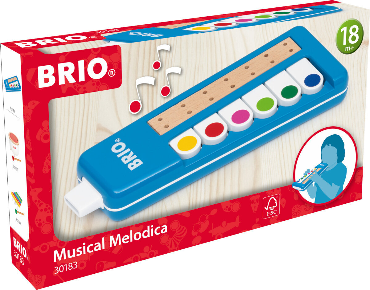 Brio muusikaline mänguasi 30183 Musical Melodica hind ja info | Arendavad laste mänguasjad | hansapost.ee