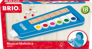Brio muusikaline mänguasi 30183 Musical Melodica kaina ir informacija | Развивающие игрушки для детей | hansapost.ee