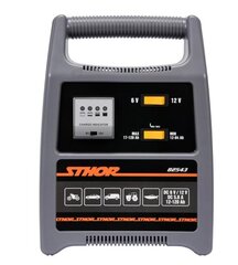 Alaldi Sthor 6/12V 8A 120Ah LED price and information | Autoakud | hansapost.ee