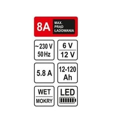 Alaldi Sthor 6/12V 8A 120Ah LED hind ja info | Pole täpsustatud Autoakud ja akulaadijad | hansapost.ee