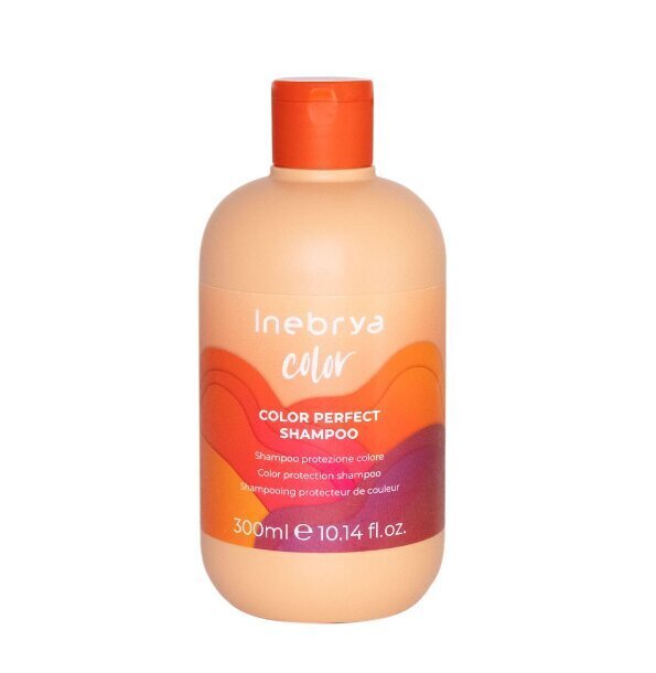 Šampoon Inebrya Ice Cream Color Perfect, 300ml hind ja info | Šampoonid | hansapost.ee