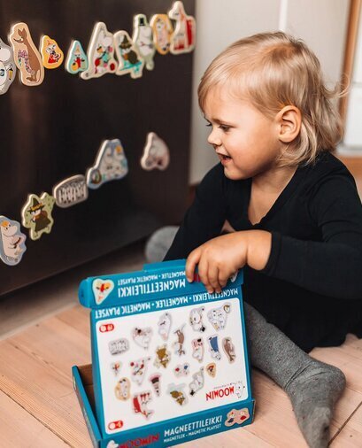 Muumitegelaste magnetid Moomin Magnetic Playset, 19 tk цена и информация | Arendavad laste mänguasjad | hansapost.ee