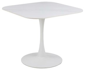 Обеденный стол Bendt Tempest, белый цена и информация | Кухонные и обеденные столы | hansapost.ee