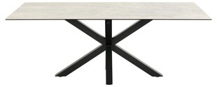 Обеденный стол Bendt Heaven, 200x100 см, серый цвет цена и информация | Кухонные и обеденные столы | hansapost.ee