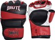Poksikindad Brute MMA Gloves, L/XL hind ja info | Poks | hansapost.ee