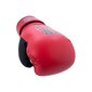 Poksikindad Brute Sparring Boxing Gloves, punane, 12 цена и информация | Poks | hansapost.ee