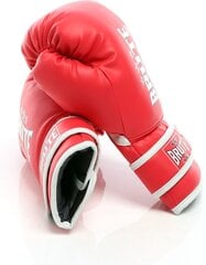Боксерские перчатки Brute Starter, красные, 10 цена и информация | Бокс | hansapost.ee