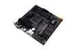 MB Asus AMD AM4 Tuf Gaming A520M Plus цена и информация | Emaplaadid | hansapost.ee